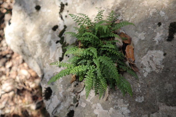 7486881750775068199 IMG 0440