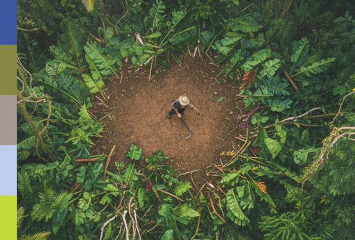 FCE Rijke midden 111766558989