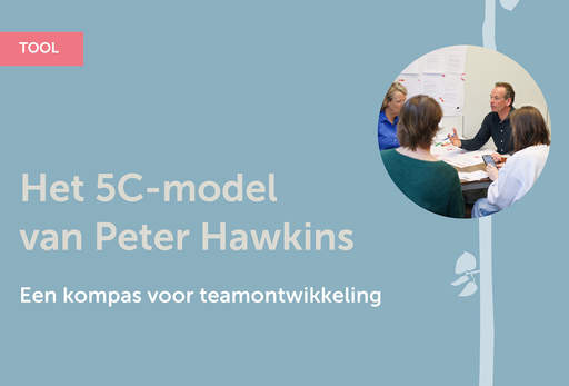 Het 5C model van Peter Hawkins 111781937434