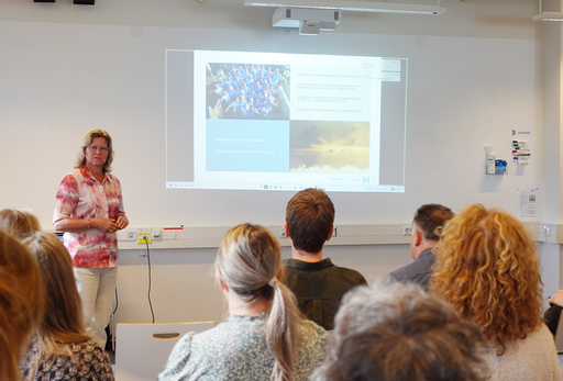 Mariel Rondeel 1 111875435536