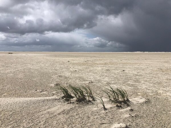 Natuurfilosofie in de praktijk