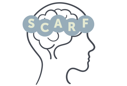 SCARF model 111783769953