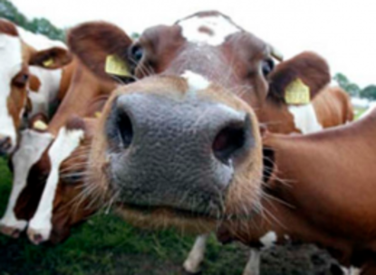 Screen shot 2012 06 24 at 17.01.54