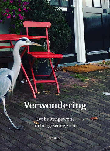 Voorkant omslag 111933742287