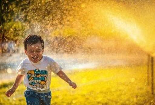 case school 111779520607