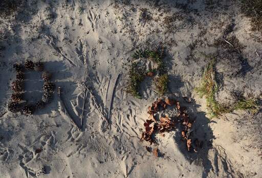 dwaalonderzoek 111772010635