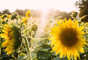 elijah hail 33902 unsplash 111972096181