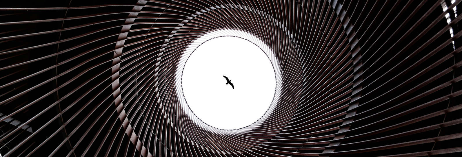 fotos profiel5 111970476001