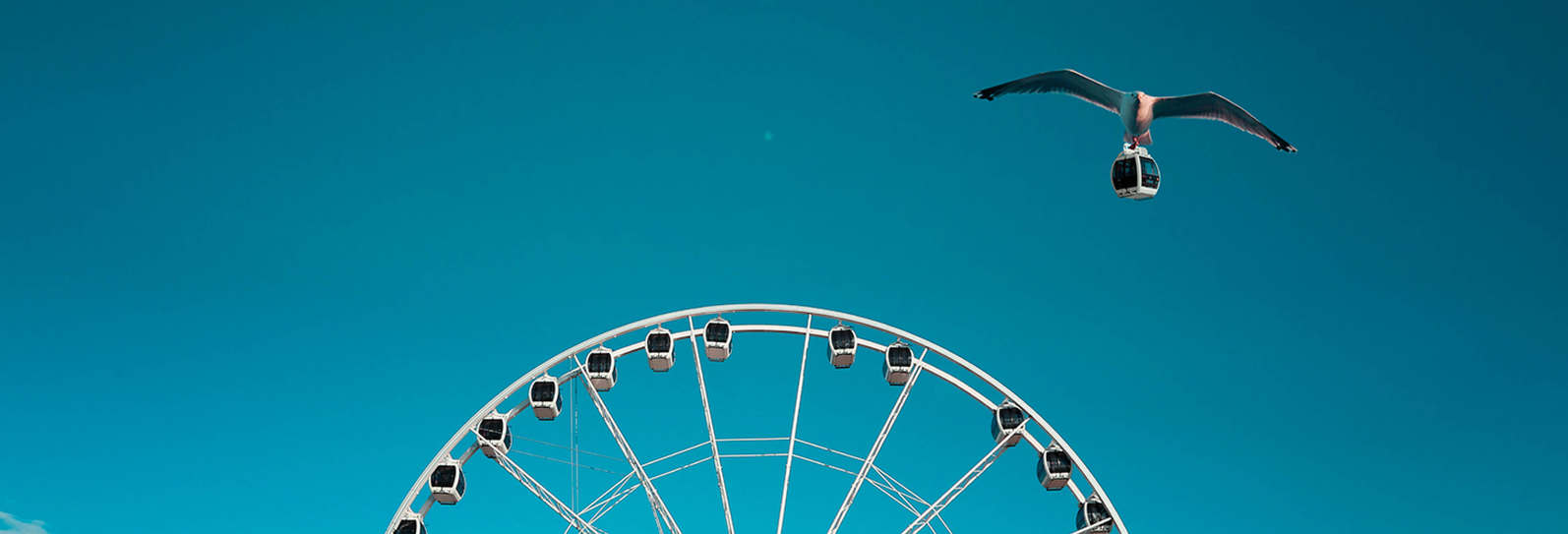 fotos profiel Hanneke Queens