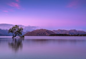 ken cheung 256045 unsplash 111969017074